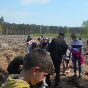 Dzieci i młodzież ze szkół sadzą drzewka pod nadzorem pracowników Nadleśnictwa Konin.