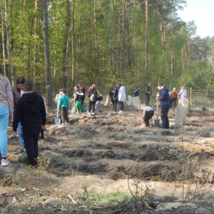 Dzieci i młodzież ze szkół sadzą drzewka pod nadzorem pracowników Nadleśnictwa Konin.