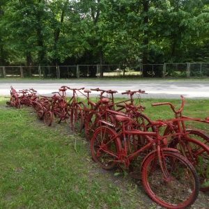 Park. Instalacja z czerwonych rowerów.
